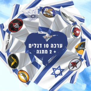 ערכת 10 דגלי חיל האוויר